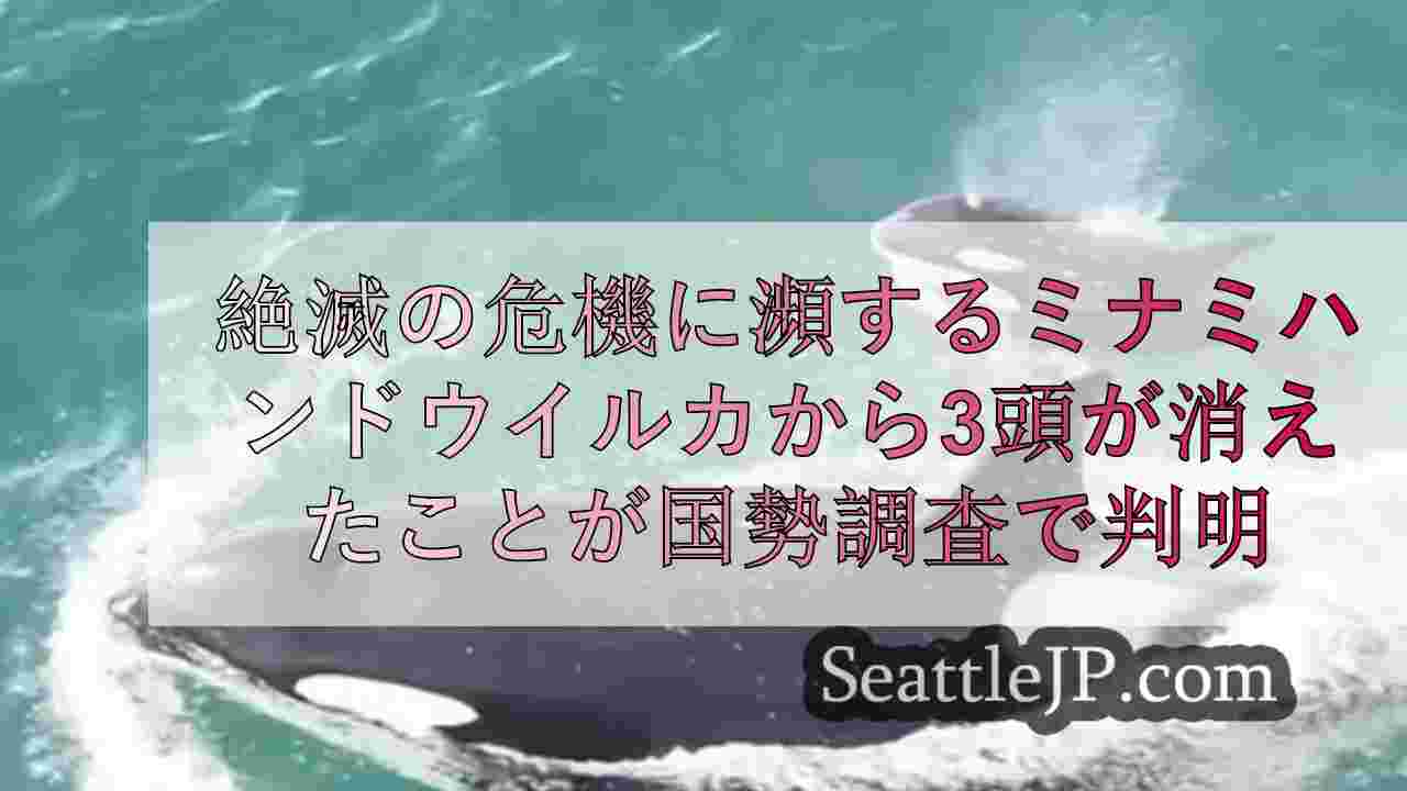 絶滅の危機に瀕するミナミハンドウイルカから3頭のクジラが消えたことが国勢調査で判