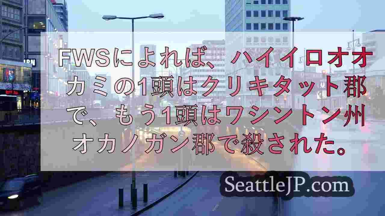 シアトルニュース SeattleJP