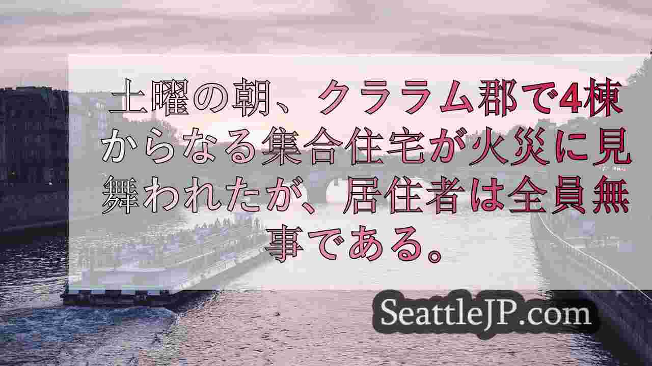シアトルニュース SeattleJP