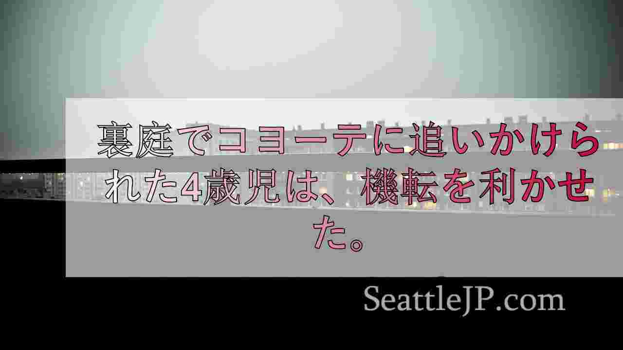 シアトルニュース SeattleJP