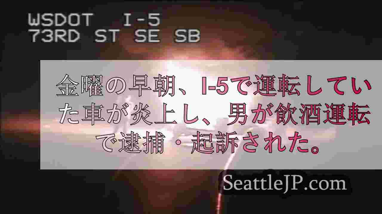 飲酒運転者、逮捕前に高速道路で炎上するSUVの前で自撮りした模様