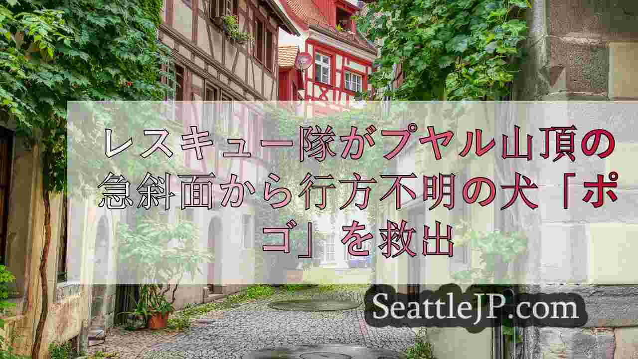 シアトルニュース SeattleJP