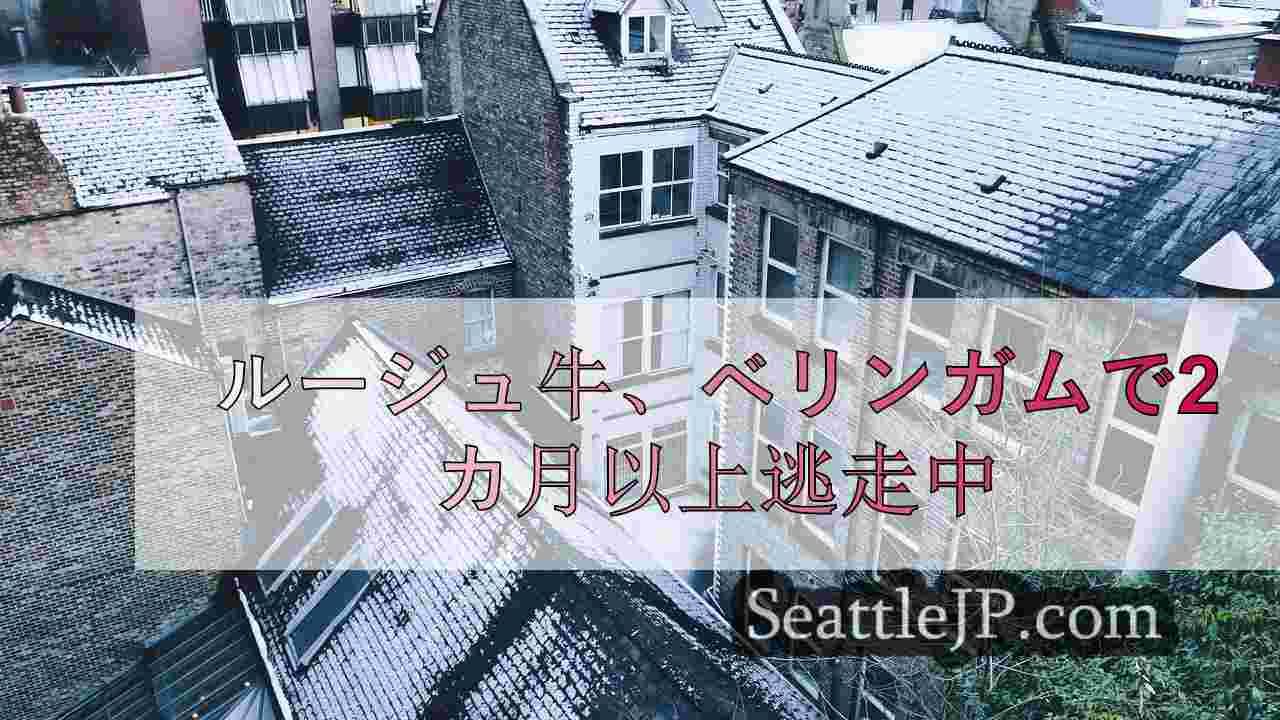 シアトルニュース SeattleJP