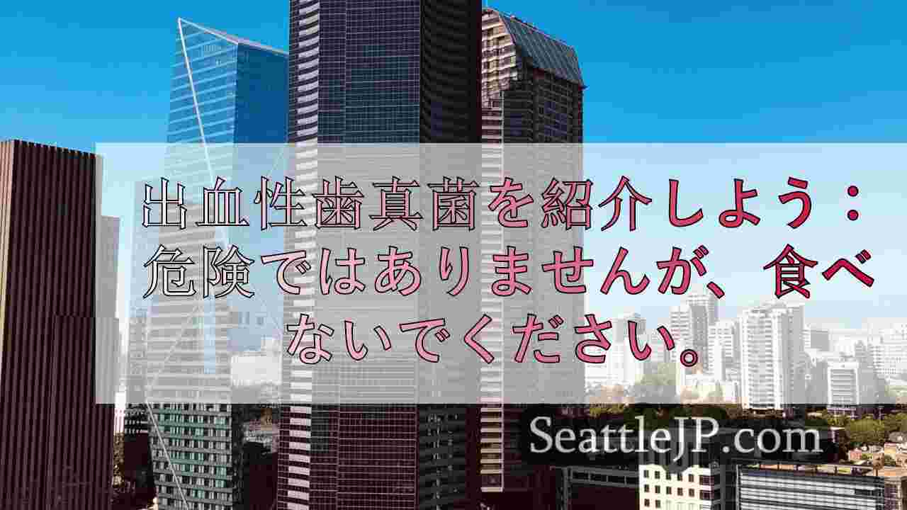 シアトルニュース SeattleJP
