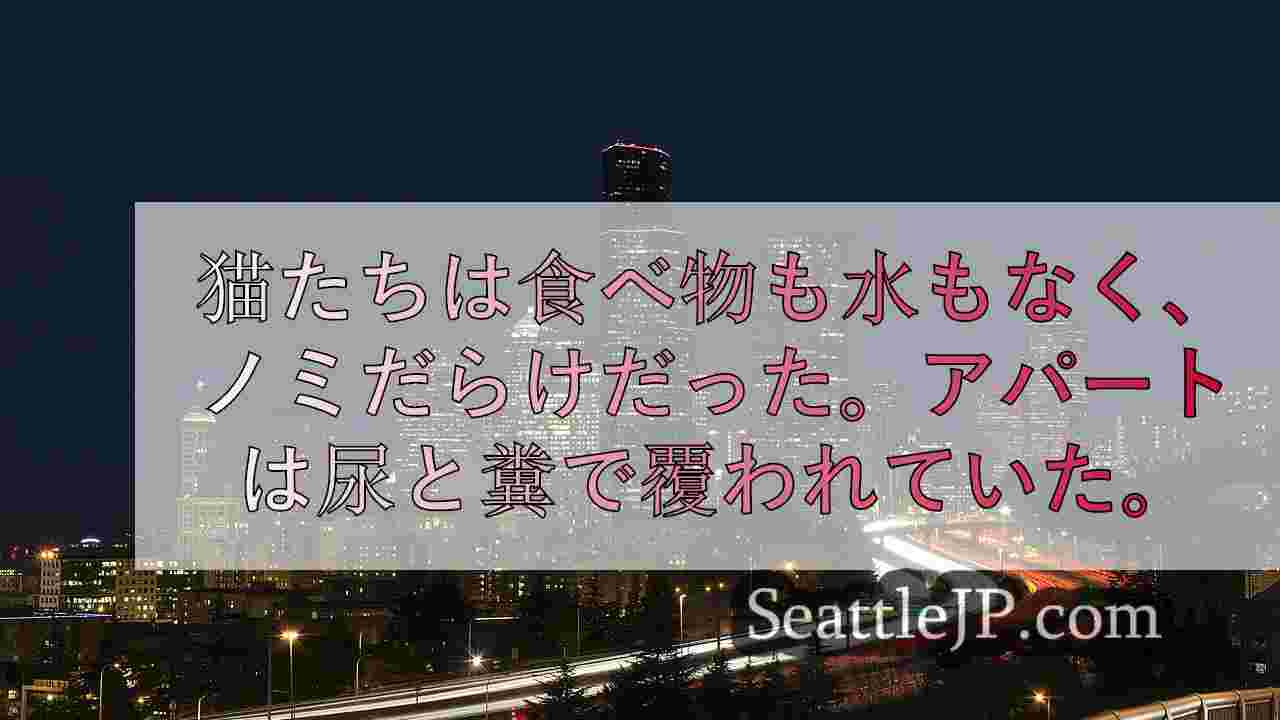 シアトルニュース SeattleJP