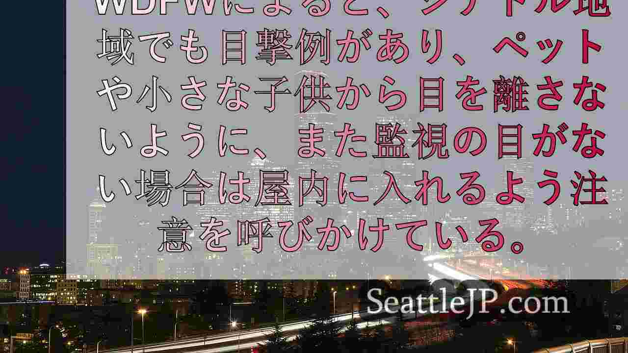 コヨーテが犬を口から離そうとしたシアトルの女性を噛む