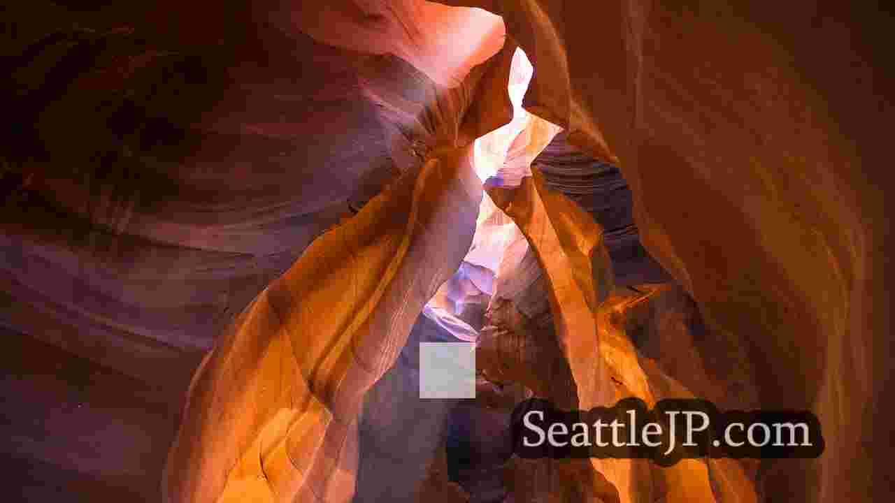 シアトルニュース SeattleJP