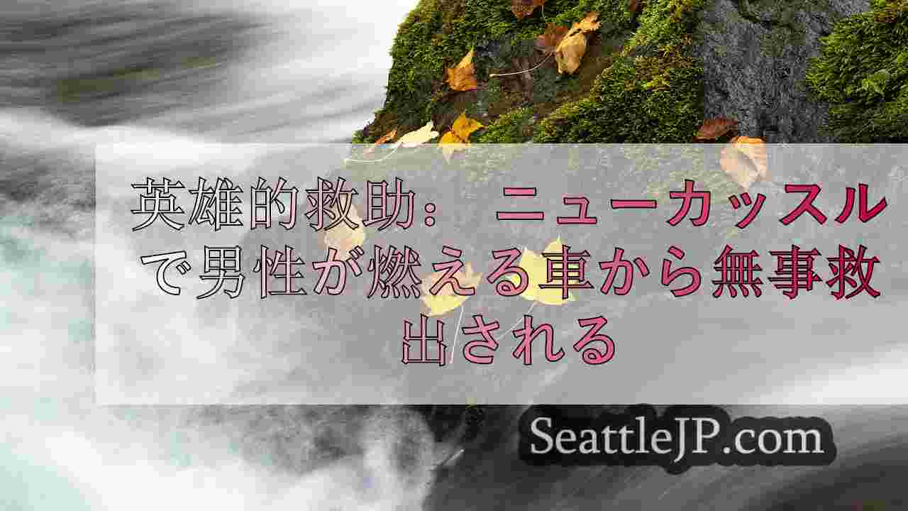 シアトルニュース SeattleJP