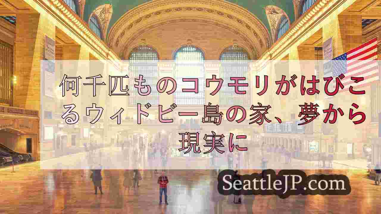 シアトルニュース SeattleJP