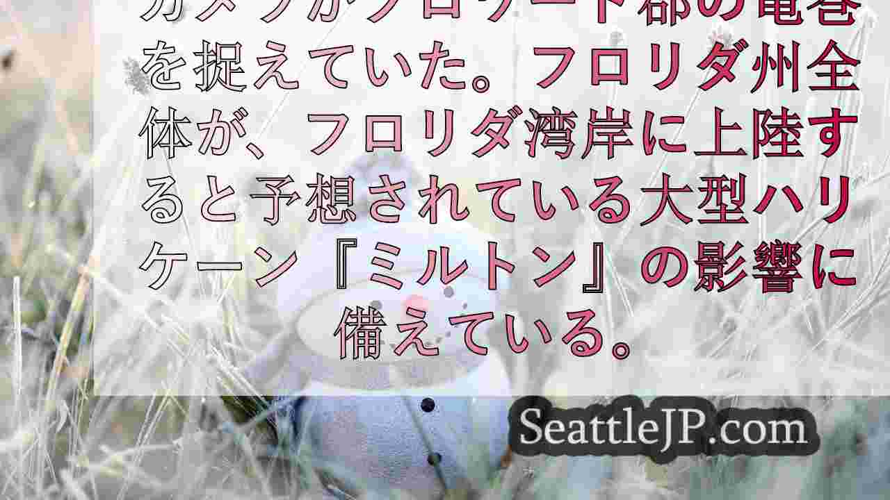 シアトルニュース SeattleJP