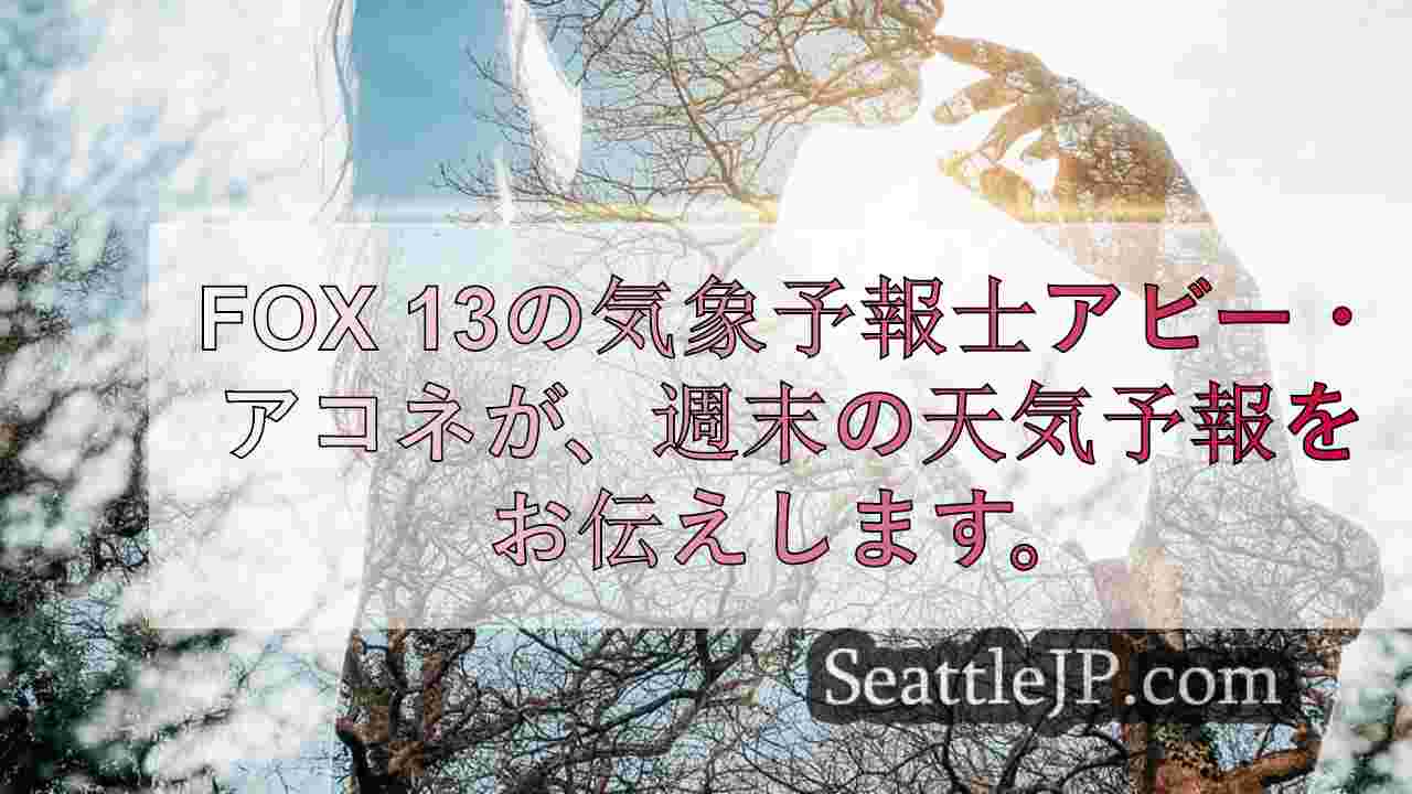 シアトルニュース SeattleJP