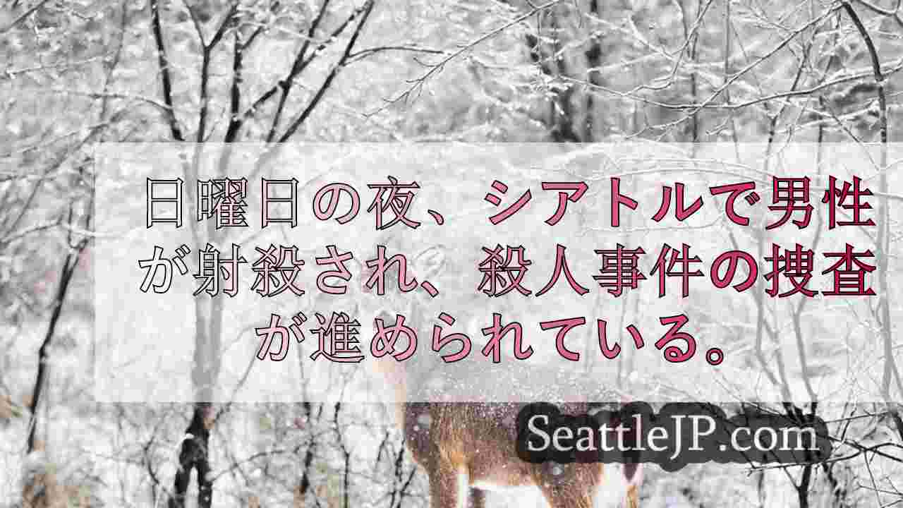 シアトルニュース SeattleJP