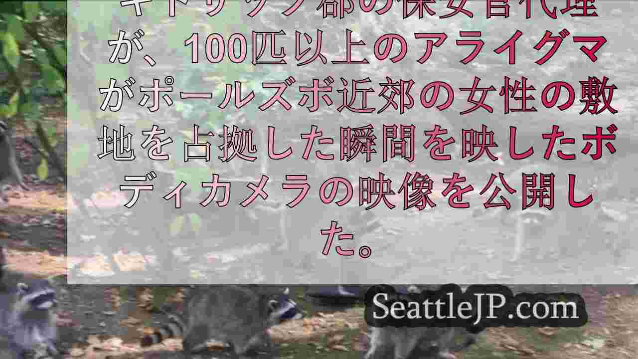 シアトルニュース SeattleJP