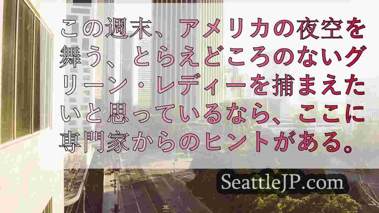 シアトルニュース SeattleJP