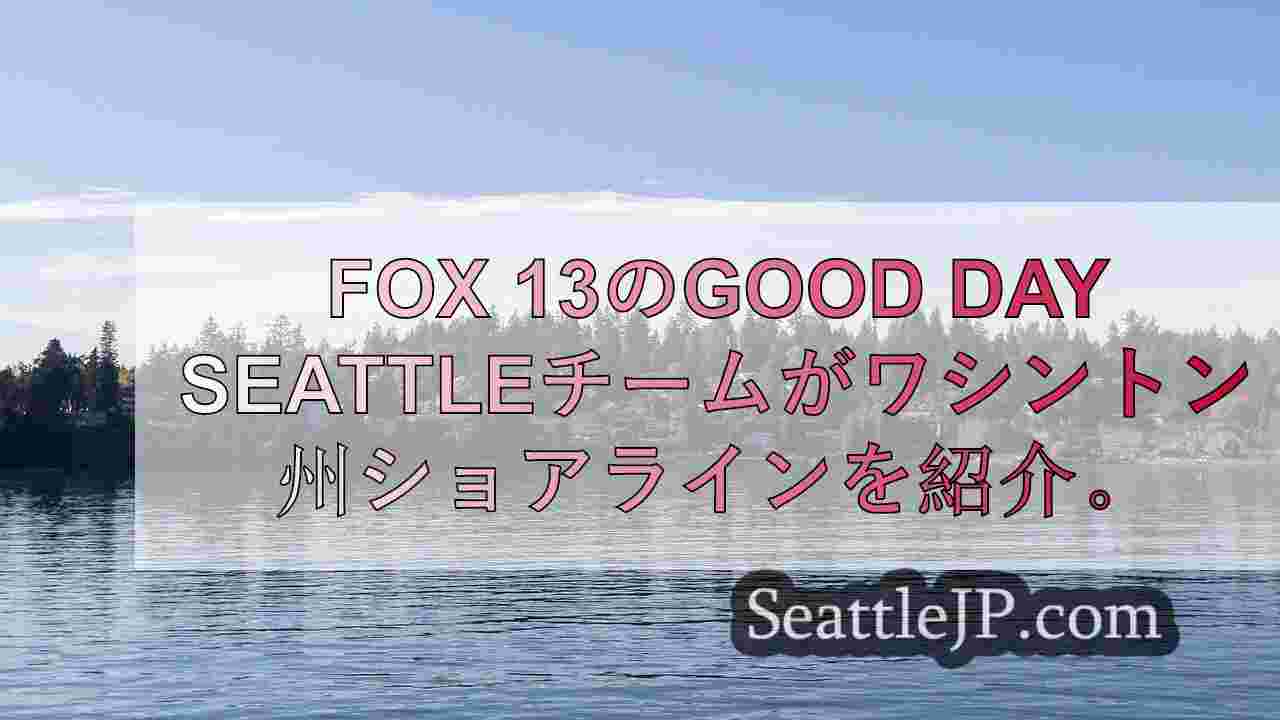 5048011 seattle jp 1