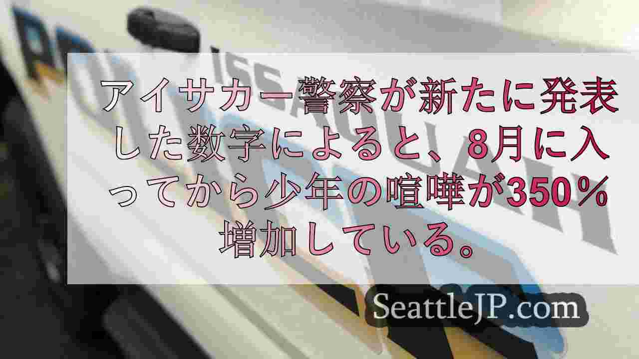 アイサカー警察、少年の喧嘩が350％増加したと報告