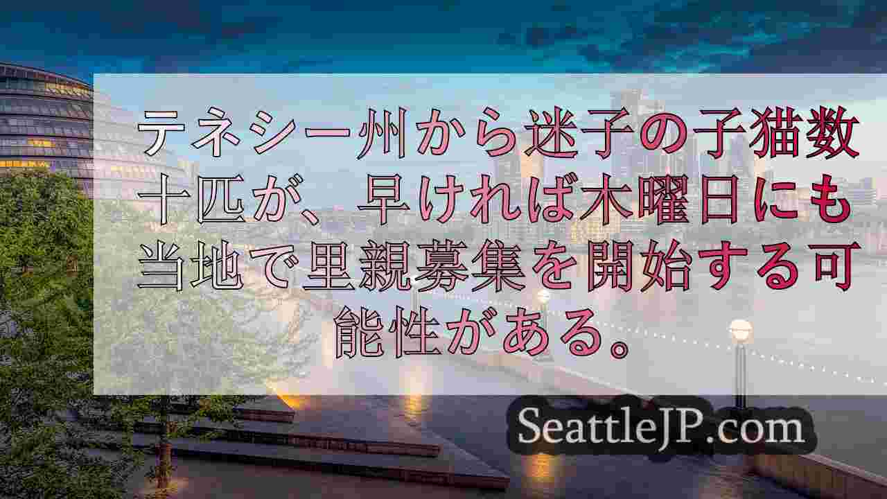 シアトルニュース SeattleJP