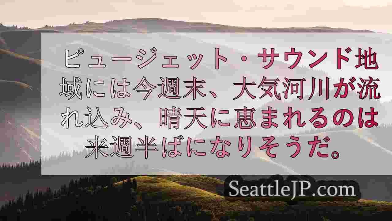 WA州西部、大気河川と強風の影響で停電が相次ぐ