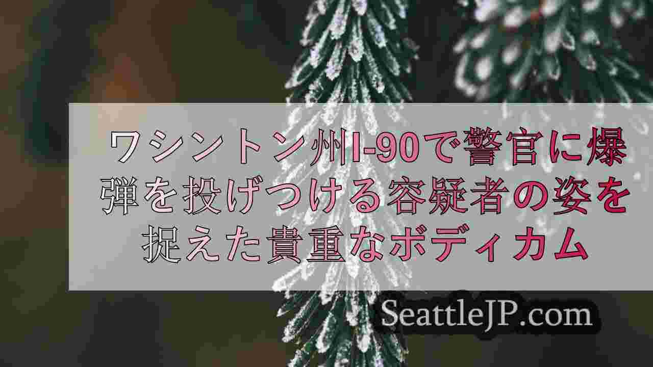 シアトルニュース SeattleJP