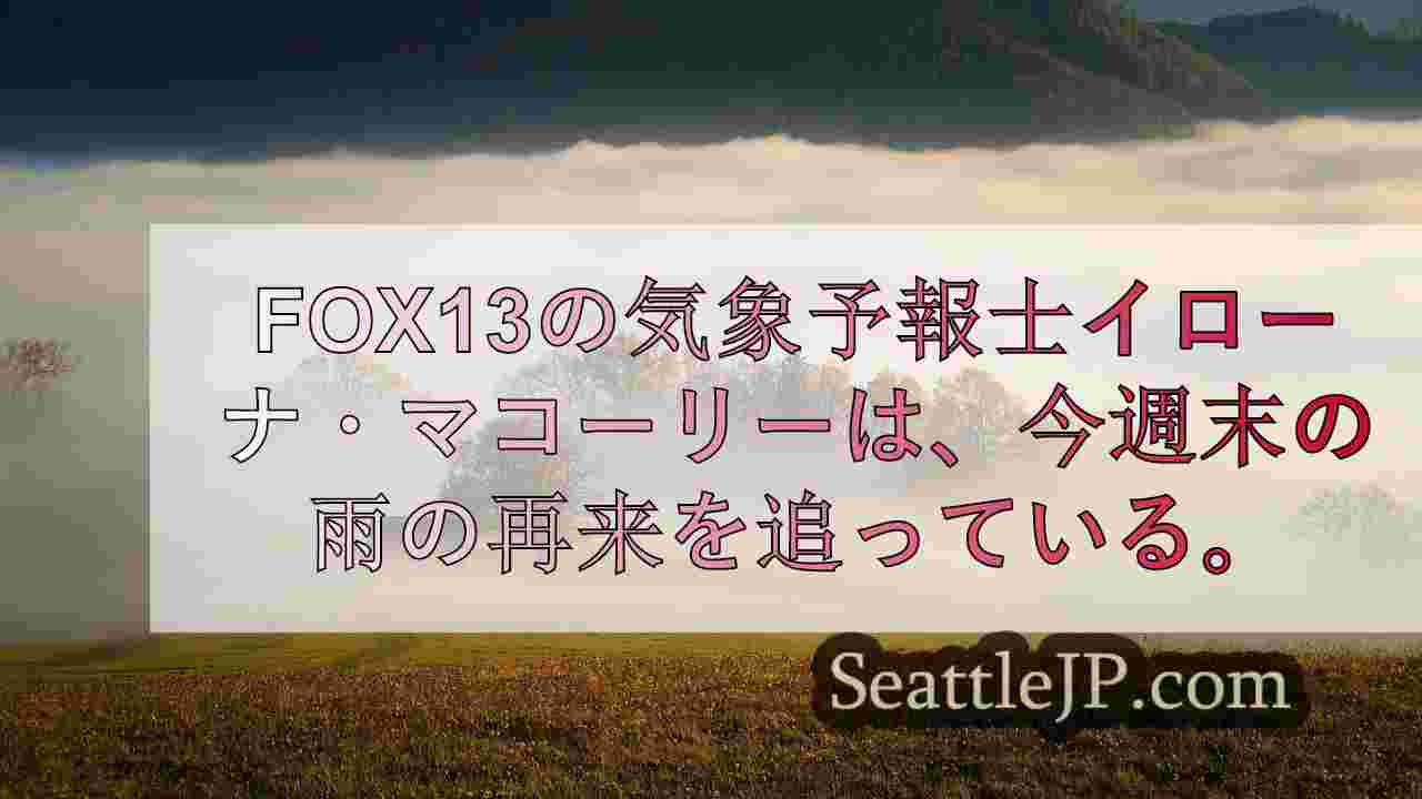シアトルニュース SeattleJP