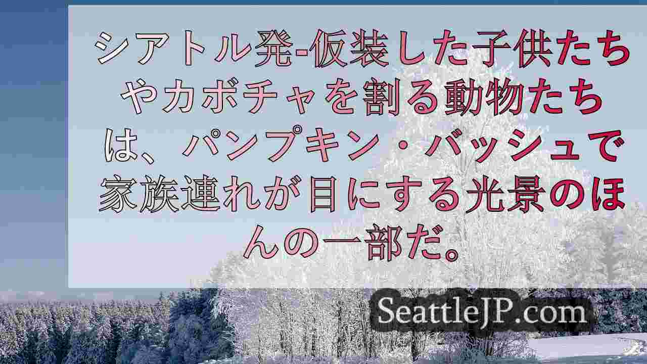 シアトルニュース SeattleJP