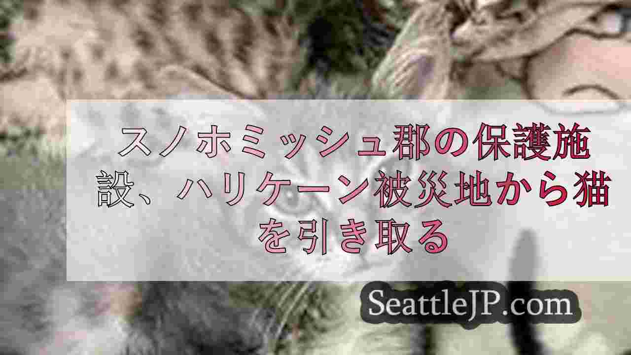 スノホミッシュ郡の保護施設、ハリケーン「ヘリーン」の被災地から猫を引き取る