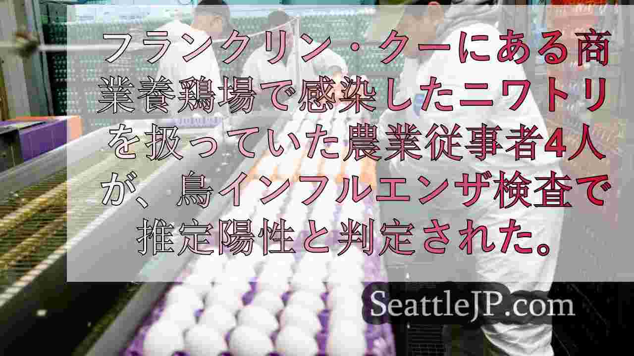 4人の農業従事者が鳥インフルエンザの「推定陽性」、西オーストラリア州で初の感染者