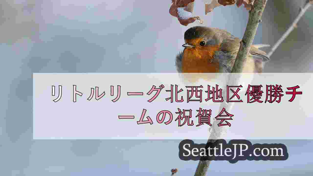 シアトルニュース SeattleJP