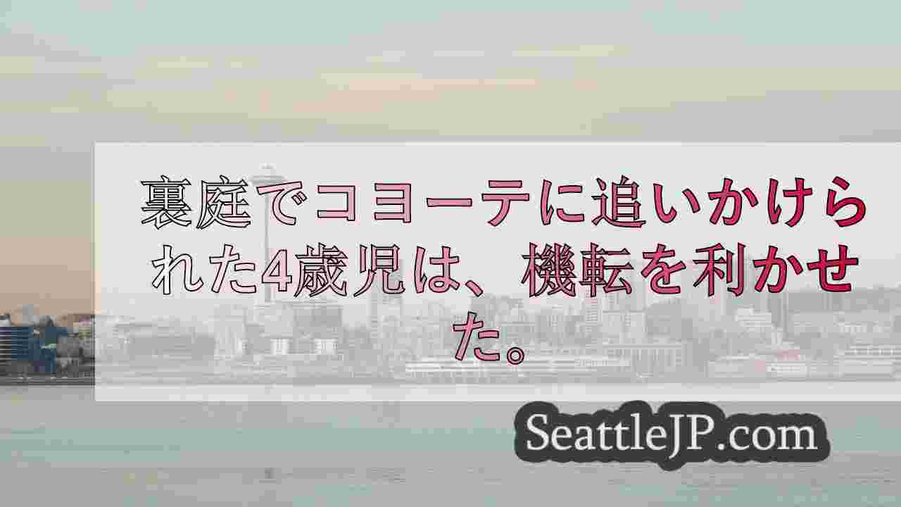 シアトルニュース SeattleJP