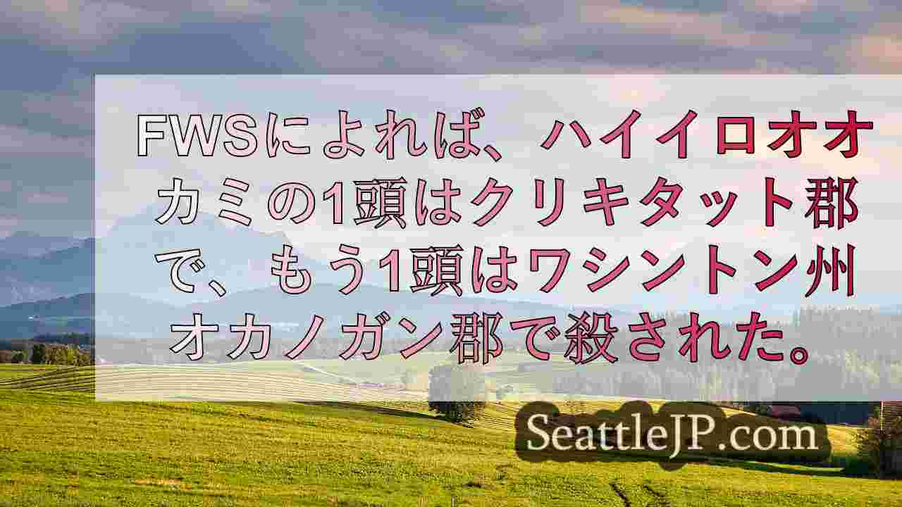 シアトルニュース SeattleJP