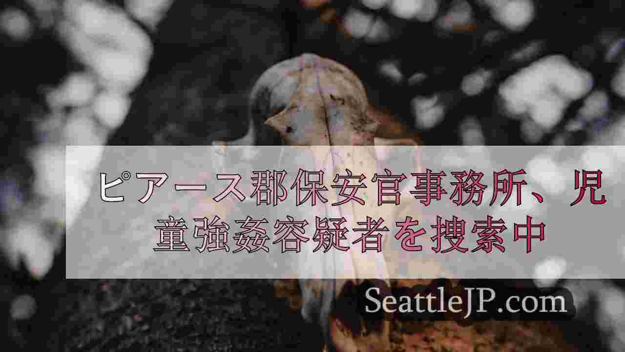 シアトルニュース SeattleJP