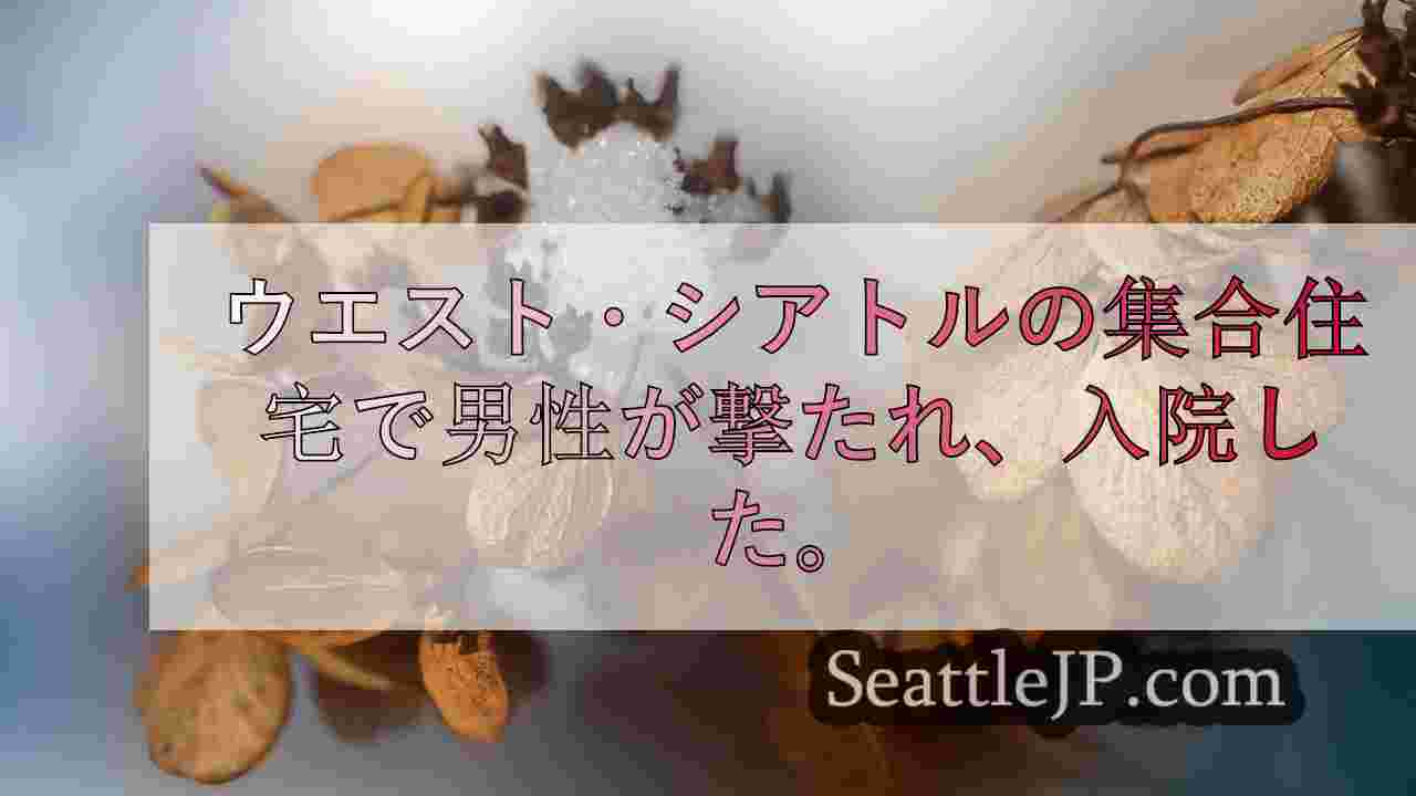 シアトルニュース SeattleJP