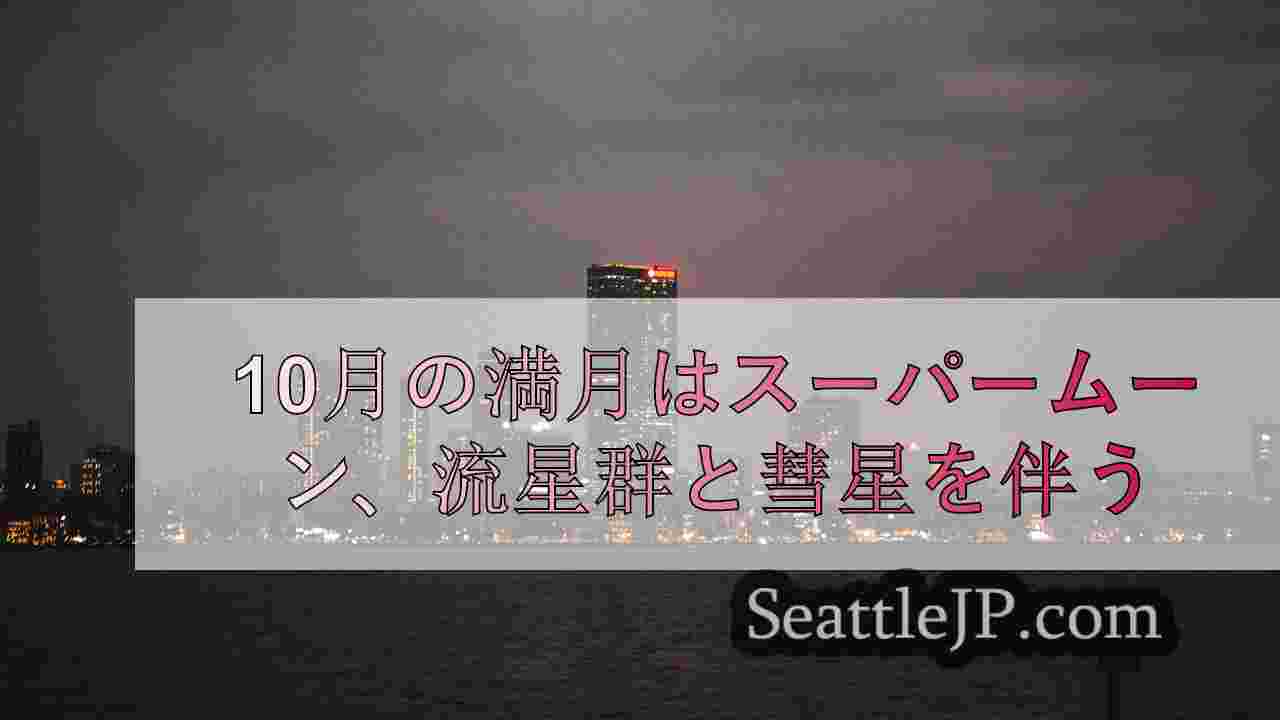 シアトルニュース SeattleJP