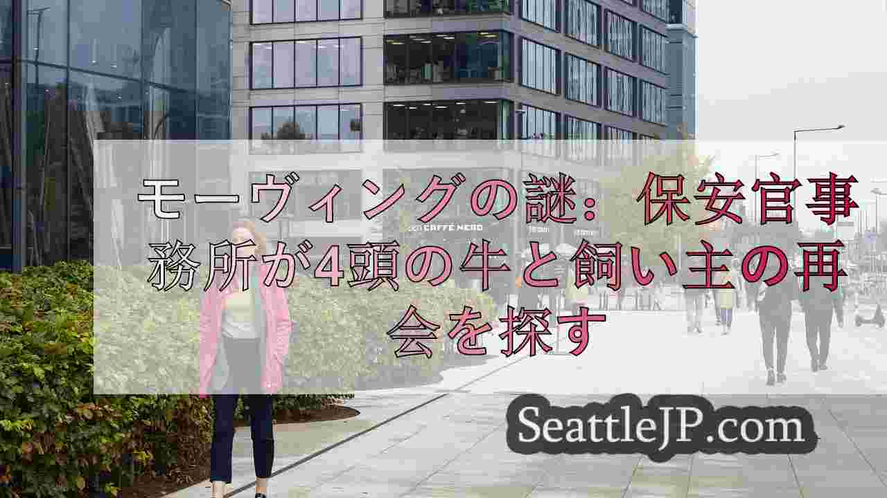 シアトルニュース SeattleJP