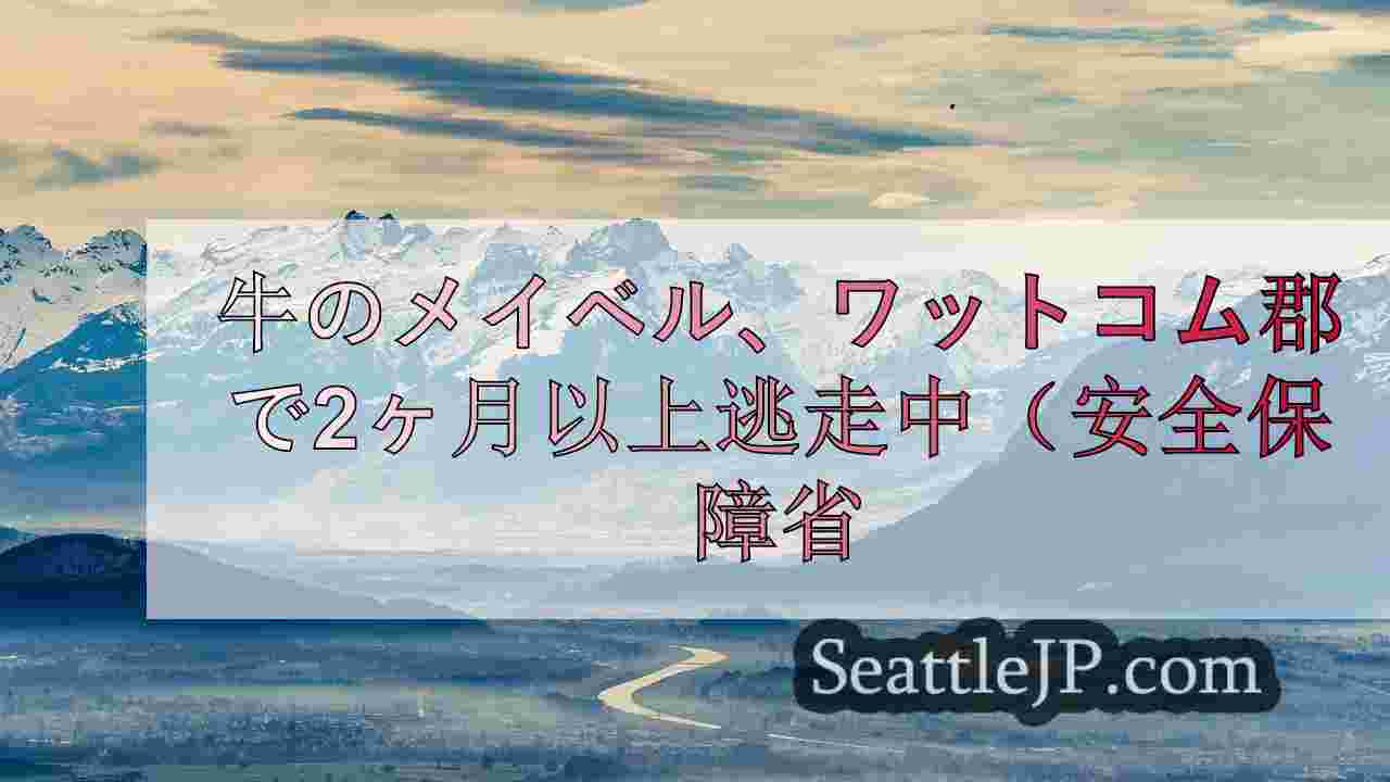 シアトルニュース SeattleJP