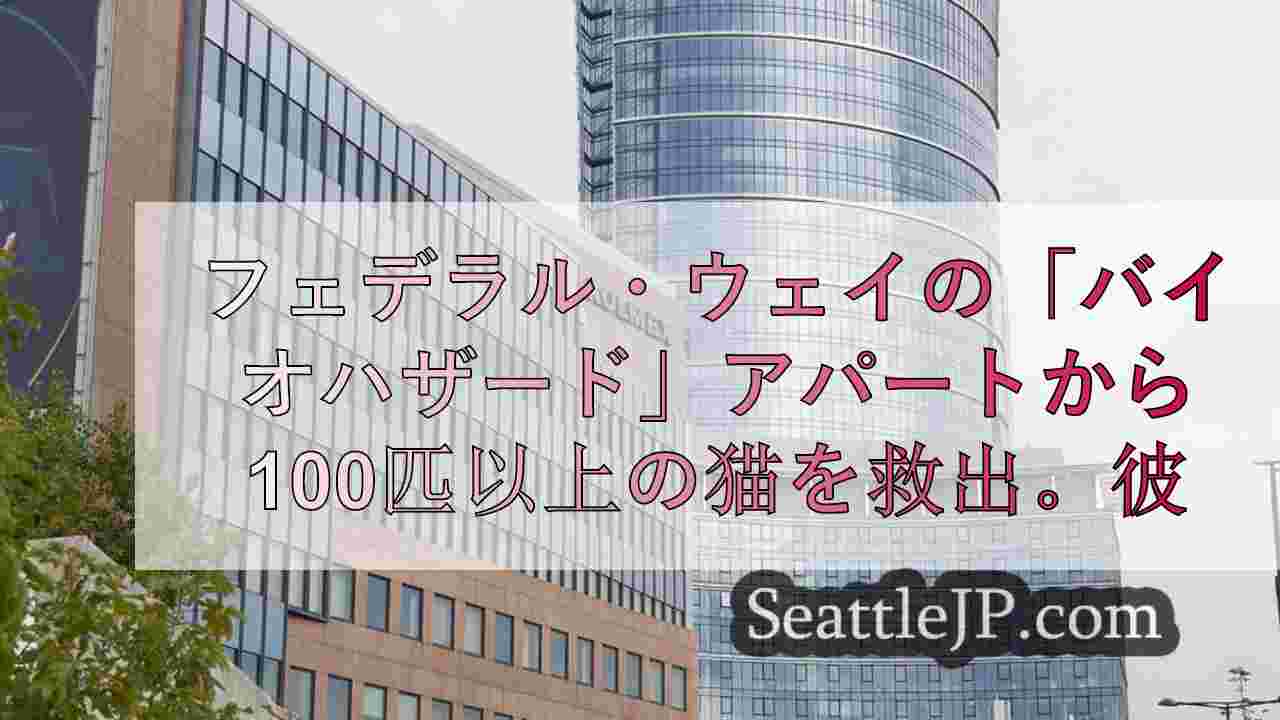 シアトルニュース SeattleJP