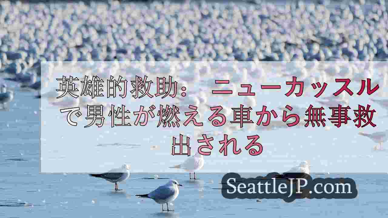 シアトルニュース SeattleJP
