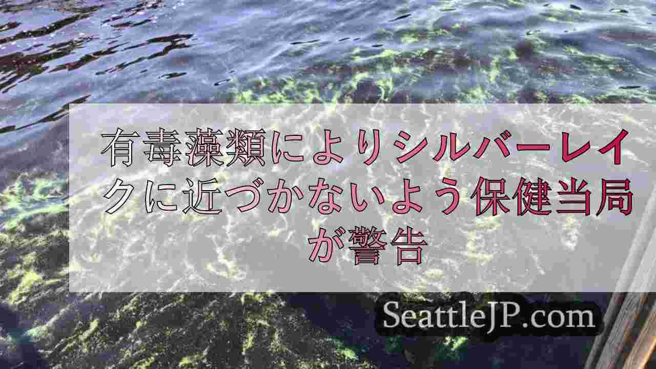 有毒藻類によりシルバーレイクに近づかないよう保健当局が警告