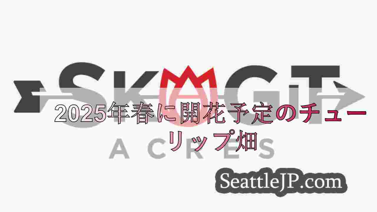 2025年春に開花予定のチューリップ畑