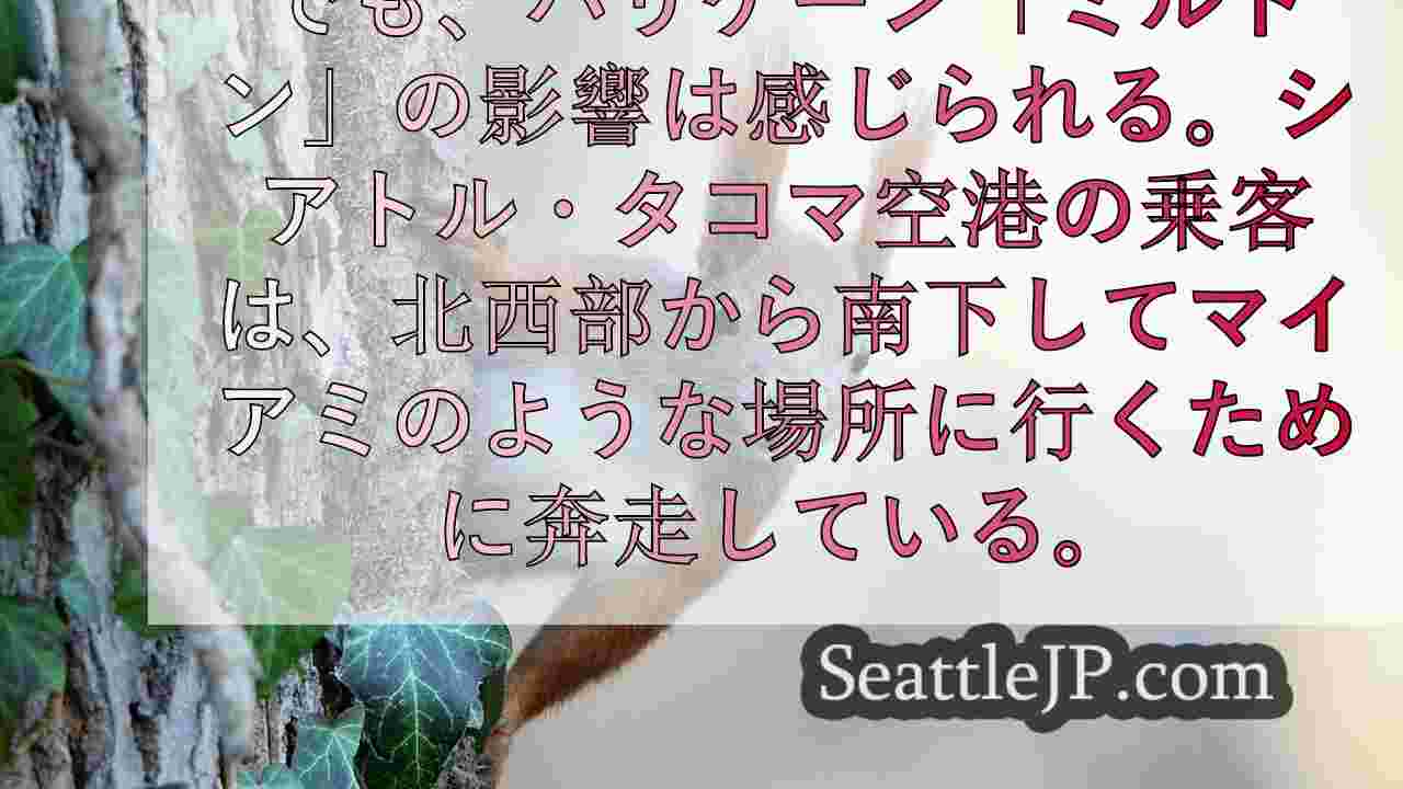 シアトルニュース SeattleJP