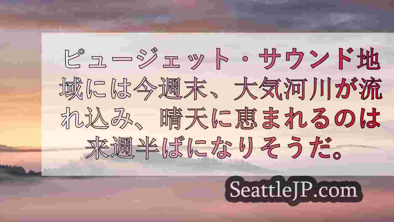 シアトルニュース SeattleJP