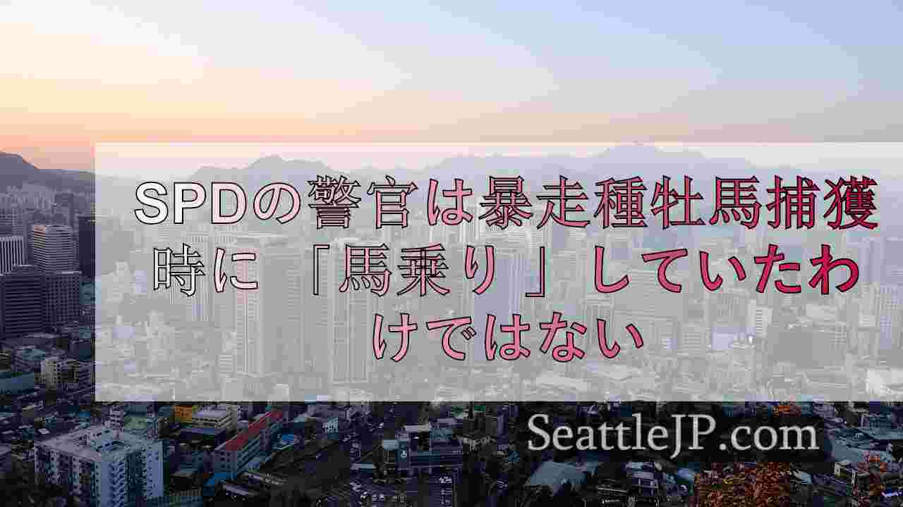 シアトルニュース SeattleJP