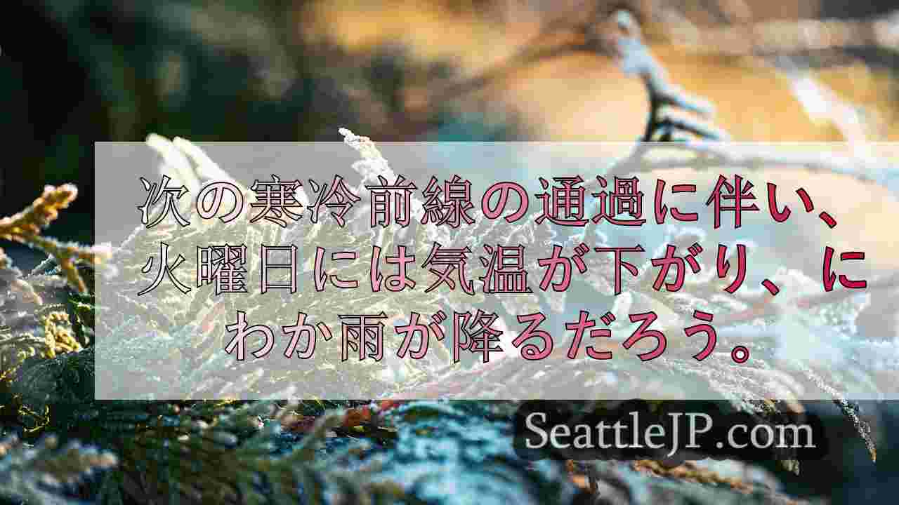 シアトルニュース SeattleJP