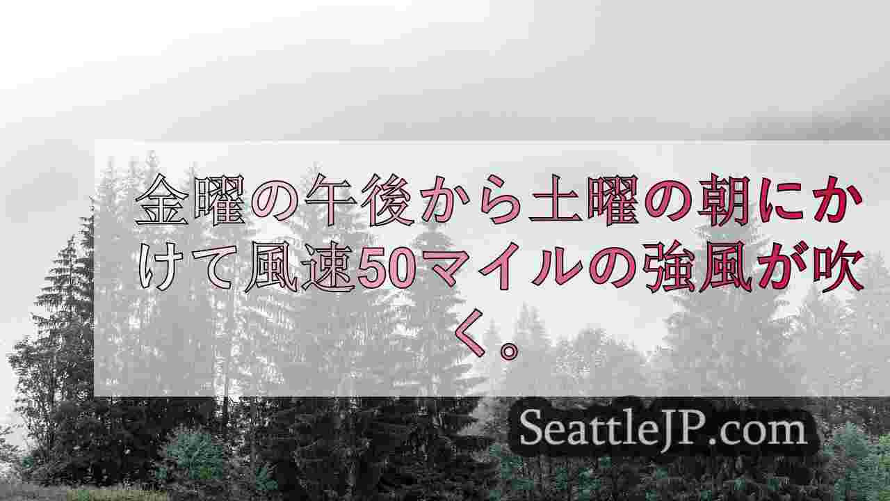 シアトルニュース SeattleJP