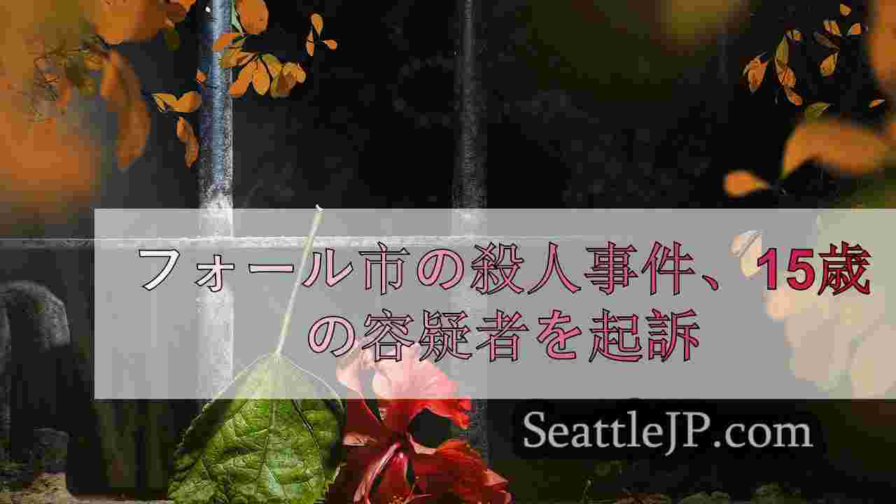 フォール市殺人と妹殺人未遂の15歳容疑者を起訴