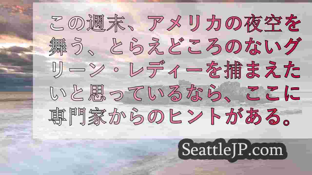 シアトルニュース SeattleJP