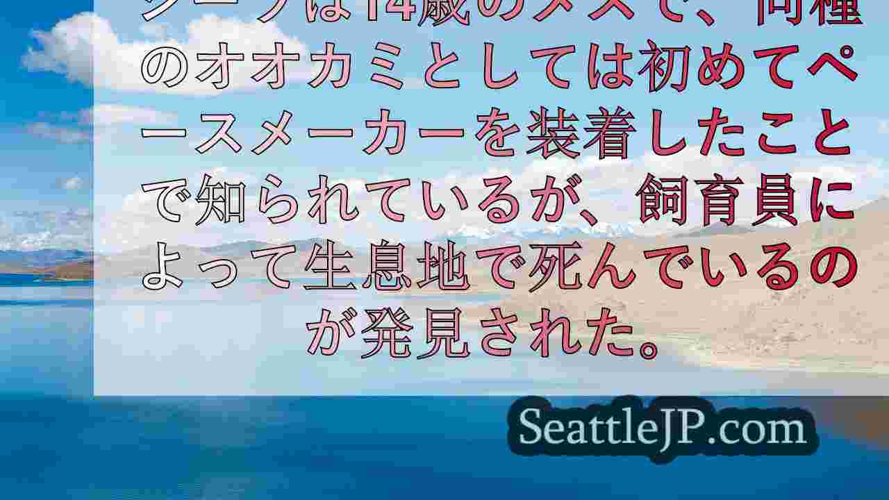 シアトルニュース SeattleJP