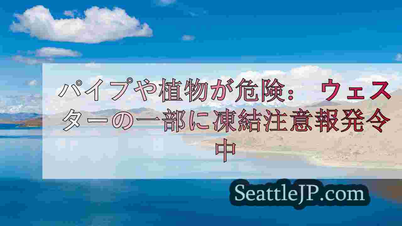 シアトルニュース SeattleJP