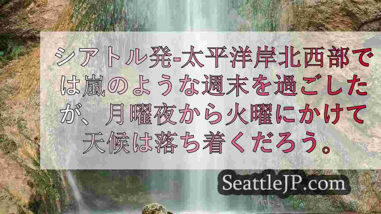 シアトルニュース SeattleJP