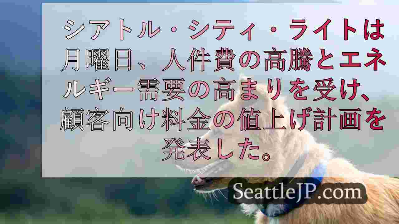 シアトルニュース SeattleJP